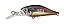 Isca Albatroz Willy Shad F40 / 4cm 2,5g - Imagem 11
