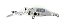 Isca Albatroz Willy Shad F40 / 4cm 2,5g - Imagem 10
