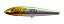 Isca Nelson Nakamura Sara Sara 100 / 10Cm - 12g - Holografica - Imagem 12