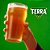Pack 6 Latas de Cerveja Coreana Terra Lager HiteJinro 355ml - Imagem 3