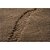 Tapete para Sala Realce Falesia 03 Creme Cotton 1,50X2,00M - Imagem 3