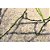 Tapete para Sala New Look Arabesco Colorido 1,50X2,00M - Imagem 3