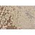 Tapete para Sala Detalhe Renda Marrom-Bege 1,50X2,00M - Imagem 4
