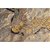 Tapete para Sala Detalhe Rachado Marrom-Bege 1,50X2,00M - Imagem 4