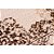 Tapete para Sala Classic Gallant 87 Bege-Marrom 2,00X3,00M - Imagem 3