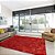 Tapete Felpudo Talismã Vermelho 1,00X1,50M - São Carlos - Imagem 2