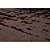 Tapete para Sala Renaissance Roma 70 Marrom 2,50X3,00M - Imagem 3