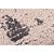 Tapete para Sala Classic Abstract 72 Bege 1,00X1,50M - Imagem 2