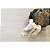Tapete Sala Turco Urban 69 Bege 2,00X2,50M Via Star - Imagem 5