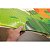 Tapete Tatame Infantil Dupla Face Savana 1,50X2,00M Kapazi - Imagem 7