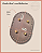 Fundo Oval com Bailarina - Linha Color (12x18) - Imagem 6
