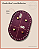 Fundo Oval com Bailarina - Linha Color (12x18) - Imagem 2