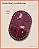 Fundo Oval com Bailarina - Linha Color (12x18) - Imagem 3