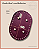 Fundo Oval com Bailarina - Linha Color (12x18) - Imagem 4