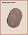 Fundo Oval sem bailarina (12x18) - Imagem 7