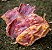 Mastigável Bexiga Bovina 150g - Luv - Imagem 5