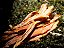 Petisco Peito de frango 100g - Luv - Imagem 3