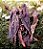 Petisco Bifinho Bovino 100g - Luv - Imagem 1