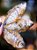 Petisco Peixe ​​​​​​​Lambari 80g - Luv - Imagem 2