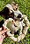 Mastigável Crush Pet - Pele Bovina em Coração 1 un - Alecrim Pet - Imagem 1