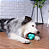Bola Maciça Átomo 6 em 1 Verde Água para Cães G - Pet Games - Imagem 1
