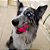 Bola Maciça Átomo 6 em 1 Pink para Cães G - Pet Games - Imagem 1