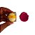 Pintinho no Ovo (Fazendinha) - Ejetor Modelador para Brigadeiros - Imagem 2