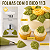 Bico para Confeitar - Tamanho G - Folha 113 - Wilton - Imagem 2