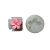 Molde de Silicone para apliques de Confeitaria - Flor Plumeria - Imagem 1