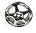 Roda Avulso Aro 15 Marea 2001 N2 - Imagem 1