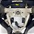 Volante Com Comando Mitsubishi Lancer 2015 2.0 Cvt - Imagem 5
