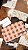 MAXI NECESSAIRE ORA BOLAS JACARÉ SILK PEQUENA FARM RIO - Imagem 2