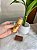 Stick Contorno Choco fun Fenzza - Imagem 2