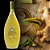 Licor Bottega Ginger 500ml - Imagem 2