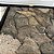 Rocha Basalt - Imagem 3