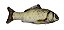 Peixe C/ Erva de Gato G 30cm - Imagem 1