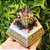 Pronta Entrega Orgonite Pirâmide de 7cm - Dourada - Imagem 1