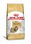 Royal Canin Dog Shih Tzu Adult 1 Kg - Imagem 1
