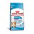 Royal Canin Dog Mini Indoor Jr 2,5 Kg - Imagem 1
