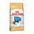 Royal Canin Shihtzu Junior 1Kg - Imagem 2