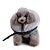 COLAR RECUP. ELIZABETANO INFLAVEL - G (40 CM)CINZA - Imagem 1