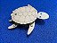 Turtle Bot com motor - preço prpmocional acima de 5 unidades. - Imagem 1
