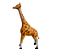 Boneco Girafa Vinil Safari - Db Play - Imagem 2