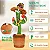 Brinquedo Cacto Dançante Falante Imita c/ Musicas Repete Falas - Imagem 5