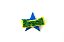 1 Adesivo Pet Estrela do Brasil - Imagem 1