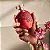 Floratta Red Desodorante Colônia 75ml - Imagem 5