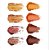 Palette De Sombras Niina Secrets Orange 5,6g - Imagem 2