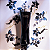 Grace Midnight Hinode Deo Colônia 100ml - Imagem 7