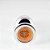 Plug Íntimo 280gr G Signo Leão - Imagem 3