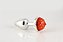 Plug Com Led P - Imagem 4